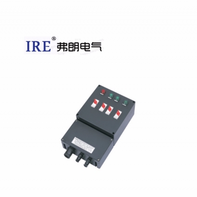 防爆防腐动力配电箱（检修）BCX-8030系列
