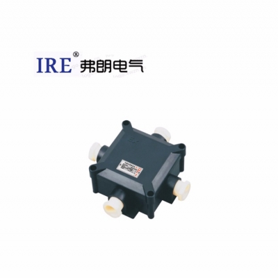 防爆防腐接线盒 BH8050系列