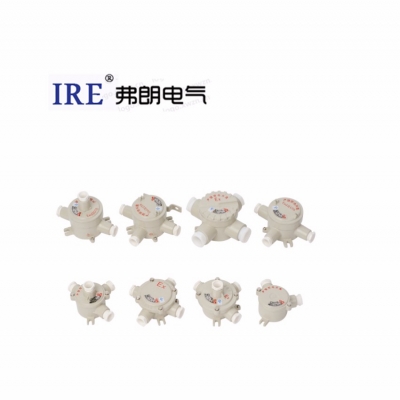 防爆接线盒 BH系列