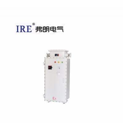 防爆变频器  BQP52系列