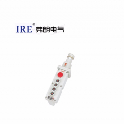 防爆电动葫芦按钮  LA5817系列